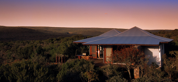 Ecca Lodge - Kwandwe Private Game Reserve