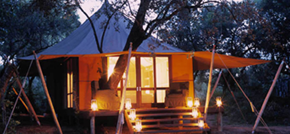 Room - Ngala Tented Camp