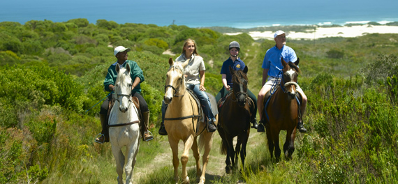 Riding at Grootbos Private Nature Reserve