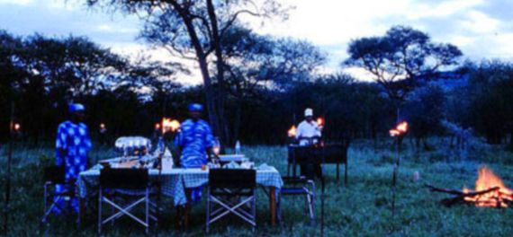 Serengeti Sopa Lodge