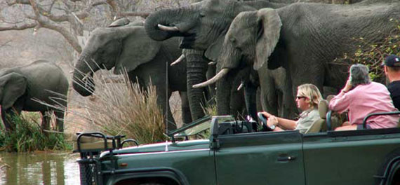 Mohlabetsi Safari Lodge