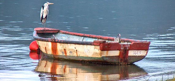 Knysna Lagoon
