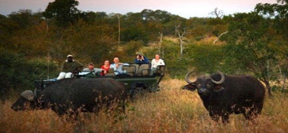 Game Drive