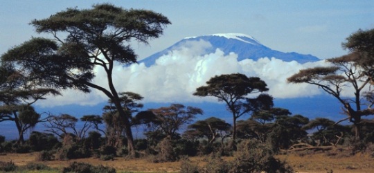 Tanzania for Ngorongoro, Serengeti, Manyara, Tarangire and Kilimanjaro