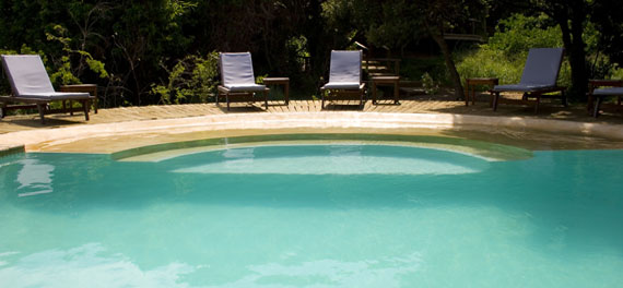 Pool at Thonga Beach Lodge
