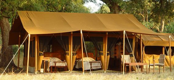 Chada Camp - Tent