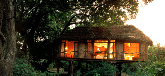Lake Manyara Tree Lodge