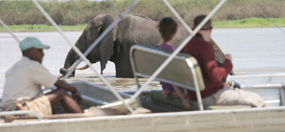 Selous Private Camp - Game Viewing