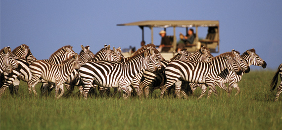 Singita Faru Faru Lodge - Game Drive