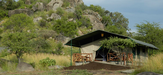 Mbuzi Mawe Tented Camp - Tent