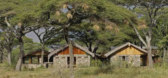 Ndutu Safari Lodge