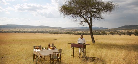 Sayari Camp - Bush Breakfast