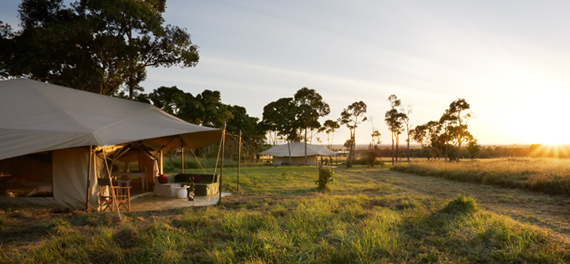 Sayari Camp 