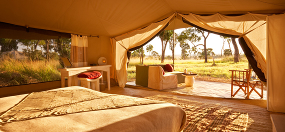 Sayari Camp - Tent