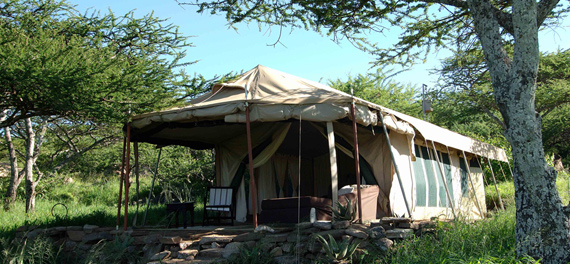 Suyan Camp - Guest Tent