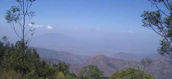 Usambara Mountains 