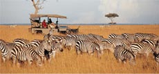 Tailor made travel