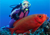 Diving at Thonga Beach Lodge