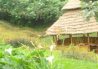 Gisakera Guesthouse Nyungwe