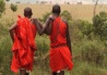 Kicheche Bush Camp