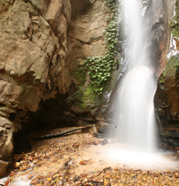 Gombe Stream National Park