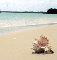 Beach near Mafia Island Lodge