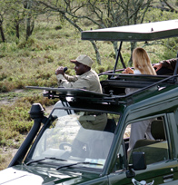 Game Drive in Serengeti National Park
