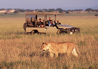 Singita Sabora Tented Camp