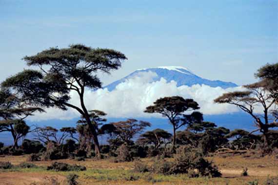 Kilimanjaro from Tinga Tinga Bush Camp