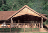Gorilla Forest Camp