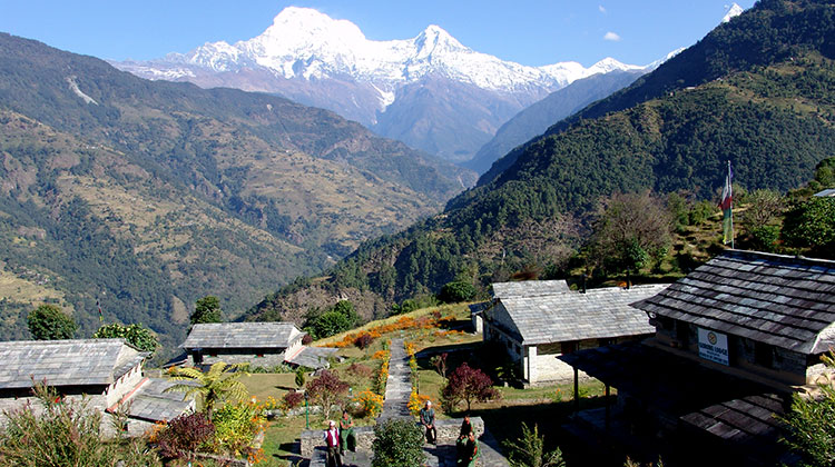 gurung-lodge