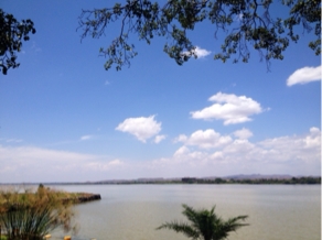 Our lunchtime view of Lake Tana