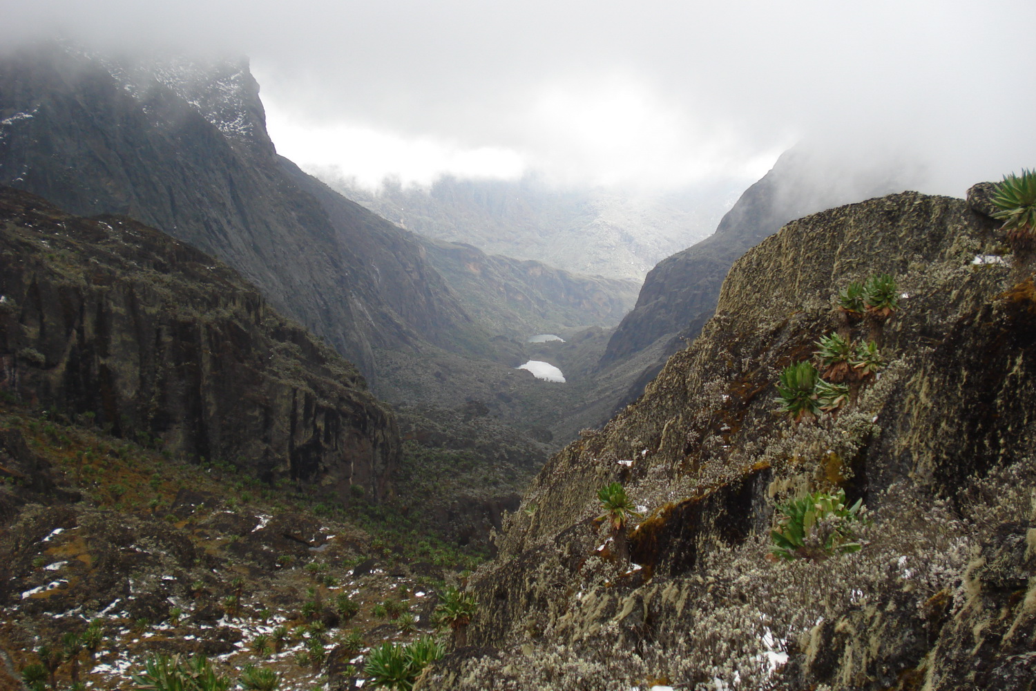 Trekking Rwenzori Mountains