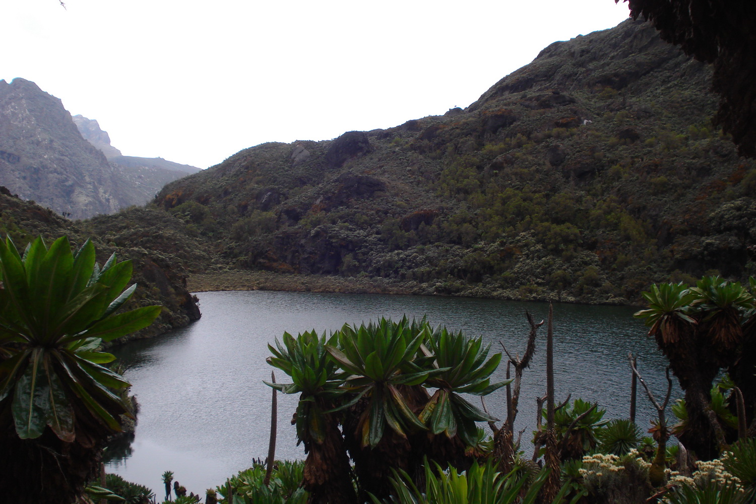 Rwenzori Mountains