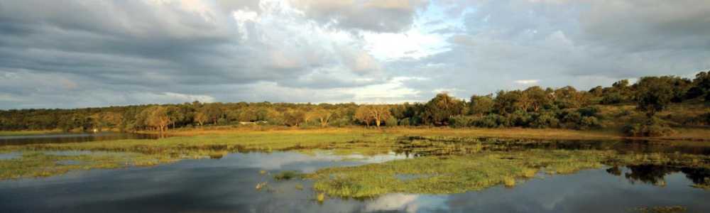 Botswana Safari Holiday