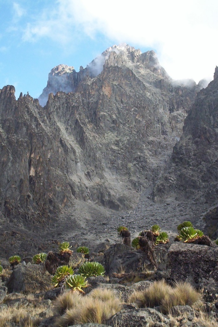 Climb Mount Kenya