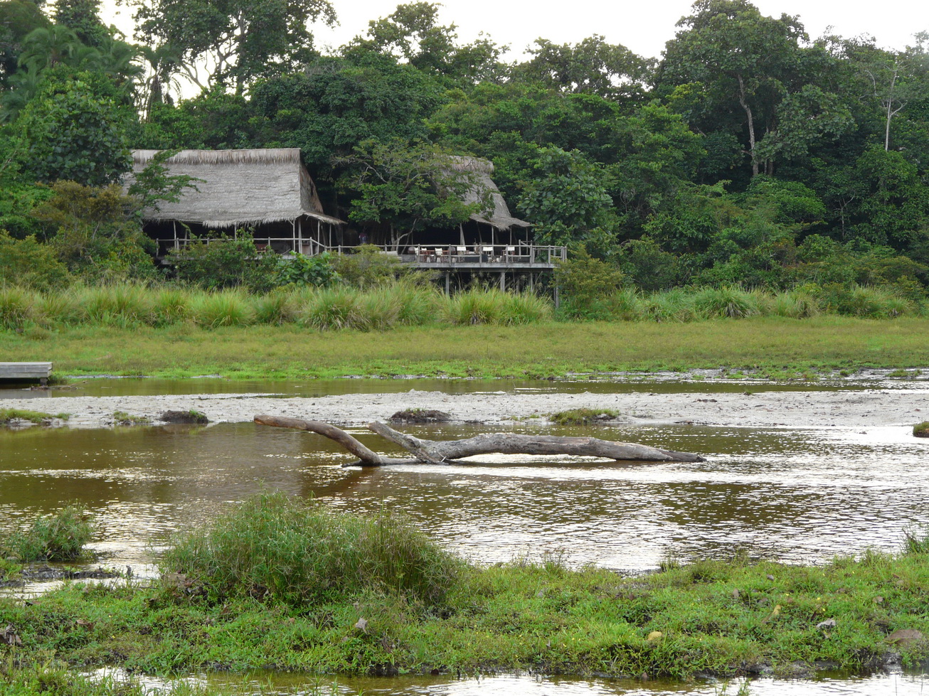 Ngaga Camp, Odzala-Kokoua National Park
