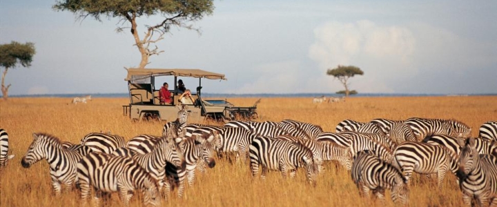 Top destinations for African safaris, mountain or beach holidays and cultural tours