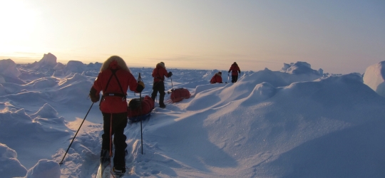 Arctic Expedition