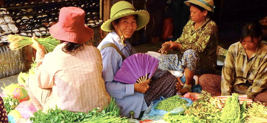 Cambodia Holiday - Siem Reap market