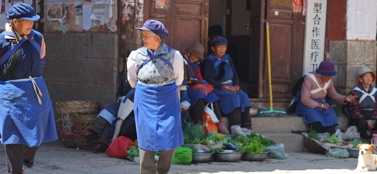 China Holidays and Tours