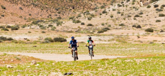 Namibia bike safari - Desert Knights
